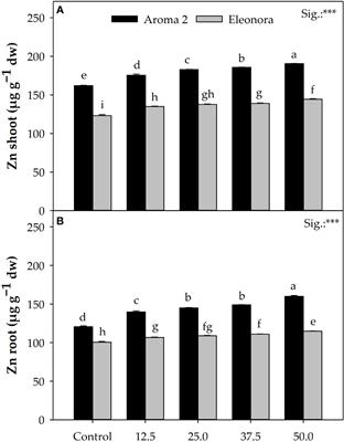 Zinc biofortification of hydroponically grown basil: Stress physiological responses and impact on antioxidant secondary metabolites of genotypic variants